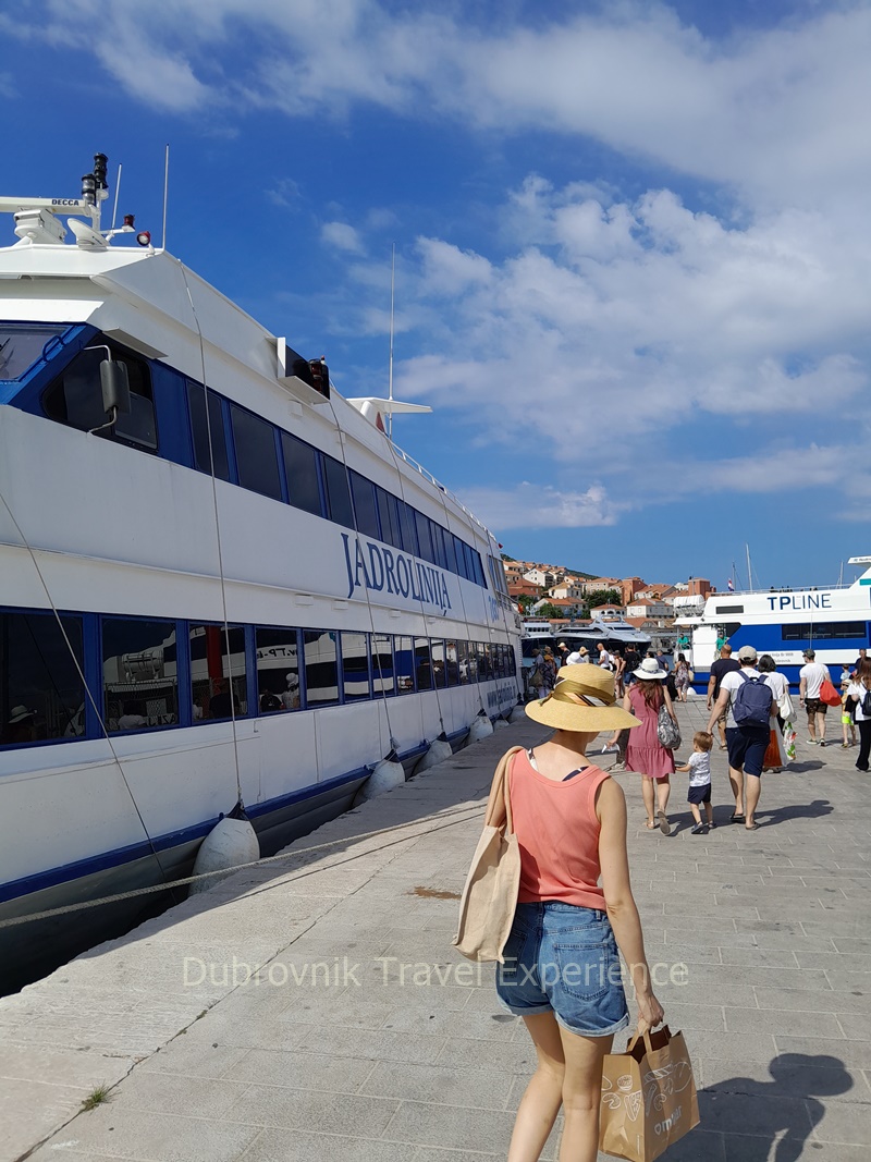 catamaran dora 01