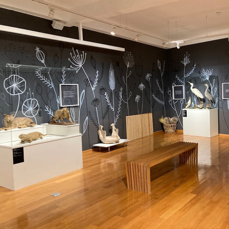 Natural History Museum Dubrovnik