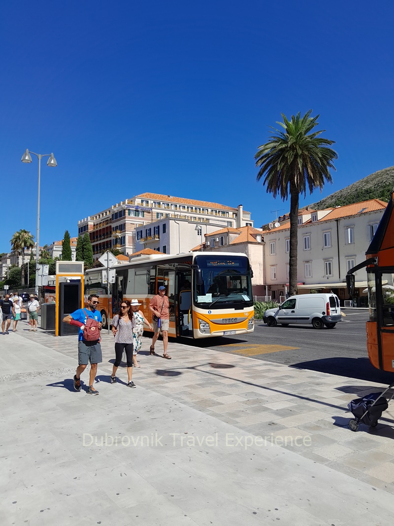 dubrovnik tourist bus