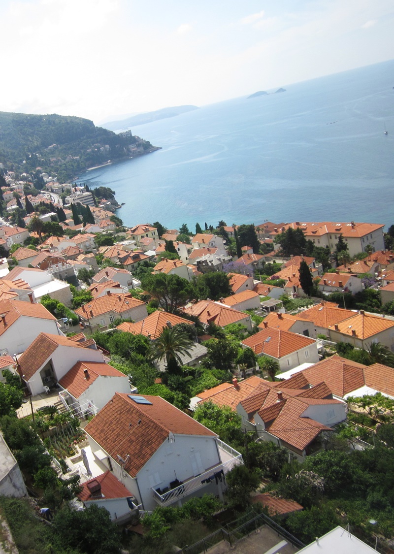 Ploce Ploce