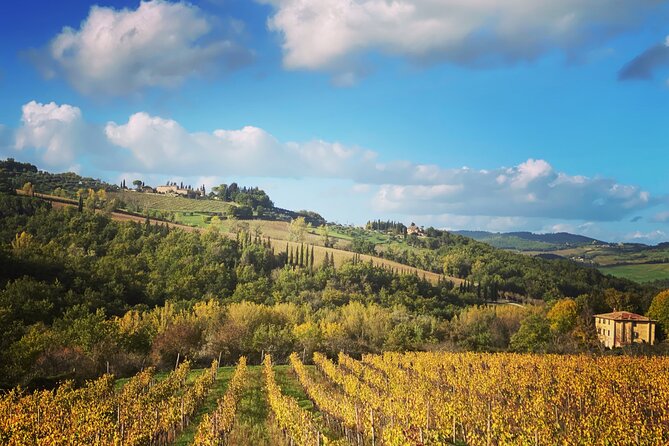 Beautiful Tuscan countryside